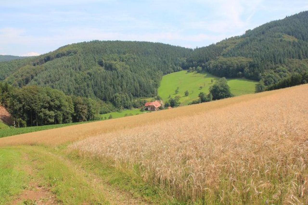 Ferienwohnung Geigerbauernhof Mühlenbach Exterior foto